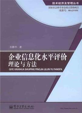 企业信息化水平评价理论与方法