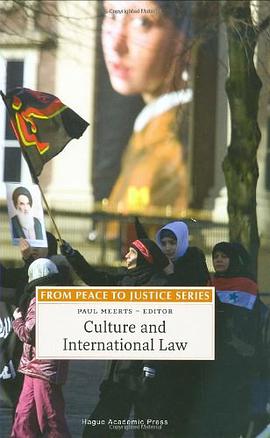 Culture and International Law pdf epub mobi 电子书 下载