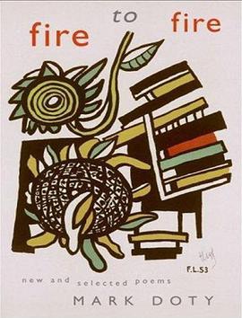 Fire to Fire pdf epub mobi 电子书 下载