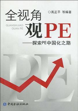 全视角观PE pdf epub mobi 电子书 下载