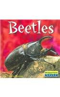 Beetles pdf epub mobi 电子书 下载