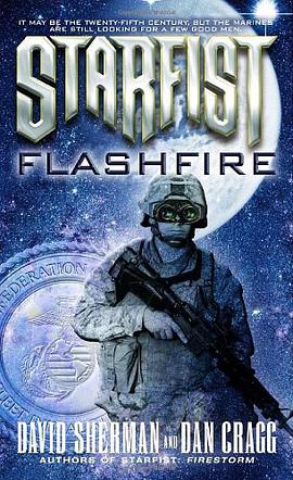Flashfire pdf epub mobi 电子书 下载