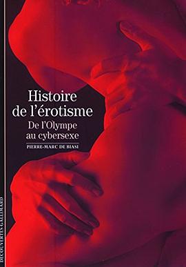 Histoire de l'érotisme pdf epub mobi 电子书 下载