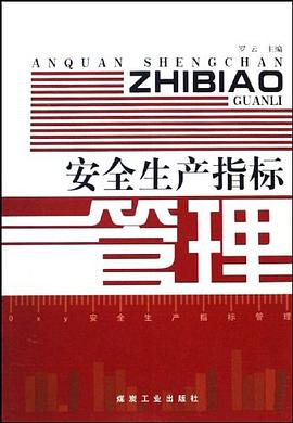 安全生产指标管理 pdf epub mobi 电子书 下载