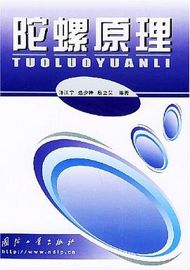 陀螺原理 pdf epub mobi 电子书 下载