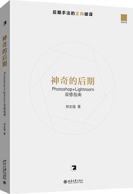 神奇的后期 pdf epub mobi 电子书 下载