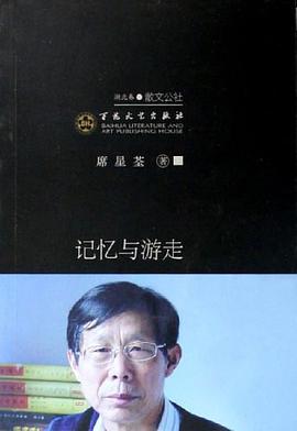 记忆与游走 pdf epub mobi 电子书 下载