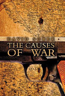 The Causes of War pdf epub mobi 电子书 下载