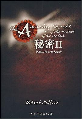 秘密II pdf epub mobi 電子書 下載
