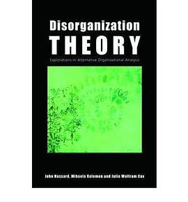 Disorganization Theory pdf epub mobi 电子书 下载