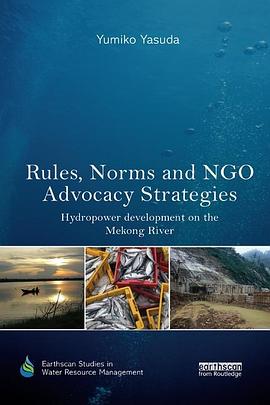 Rules, Norms and NGO Advocacy Strategies pdf epub mobi 电子书 下载