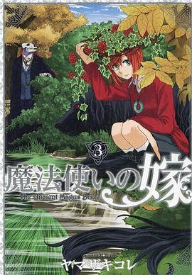 魔法使的新娘 03 pdf epub mobi 电子书 下载