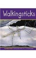 Walkingsticks pdf epub mobi 电子书 下载