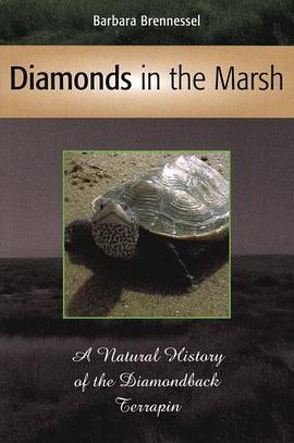 Diamonds in the Marsh pdf epub mobi 电子书 下载
