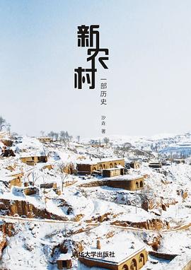 新农村：一部历史 pdf epub mobi 电子书 下载