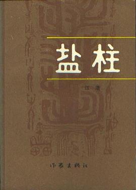 盐柱 pdf epub mobi 电子书 下载