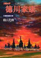 徳川家康 19 pdf epub mobi 电子书 下载