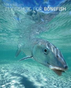 Fly Fishing for Bonefish pdf epub mobi 电子书 下载