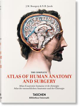 Atlas of Human Anatomy and Surgery pdf epub mobi 电子书 下载