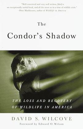 The Condor's Shadow pdf epub mobi 电子书 下载