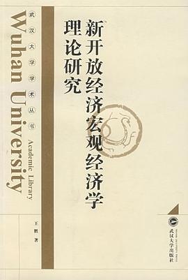 新开放经济宏观经济学理论研究 pdf epub mobi 电子书 下载