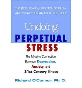 Undoing Perpetual Stress: The Missing Connection Between Depression, Anxiety and 21st pdf epub mobi 电子书 下载