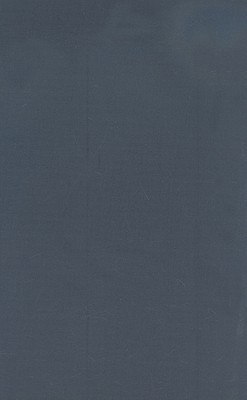 Globalization pdf epub mobi 下载