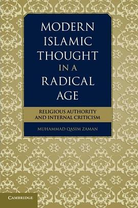 Modern Islamic Thought in a Radical Age pdf epub mobi 電子書 下載