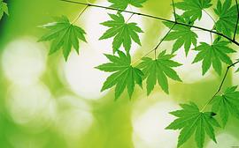 111 pdf epub mobi 电子书 下载