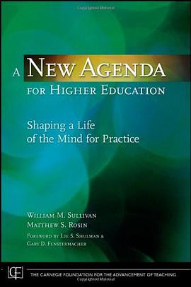A New Agenda for Higher Education pdf epub mobi 电子书 下载
