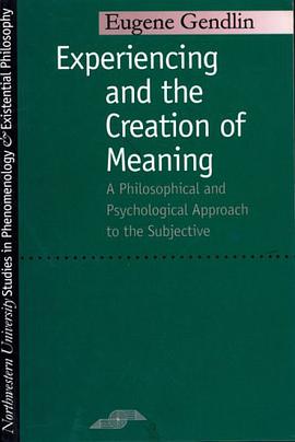 Experiencing and the Creation of Meaning pdf epub mobi 电子书 下载
