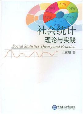 社会统计理论与实践 pdf epub mobi 电子书 下载