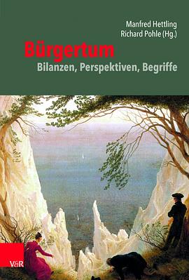 Bürgertum Bilanzen, Perspektiven, Begriffe pdf epub mobi 電子書 下載
