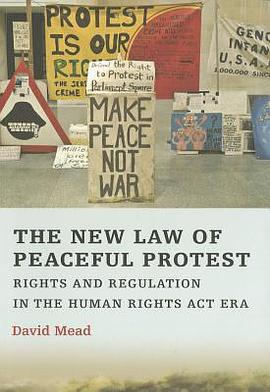 The Law of Peaceful Protest pdf epub mobi 电子书 下载