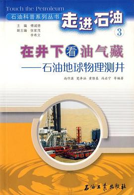 在井下看油气藏 pdf epub mobi 电子书 下载
