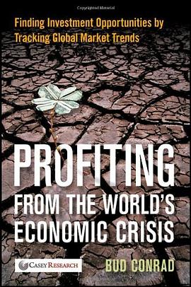Profiting from the World's Economic Crisis pdf epub mobi 电子书 下载