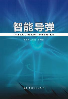 智能导弹 pdf epub mobi 电子书 下载