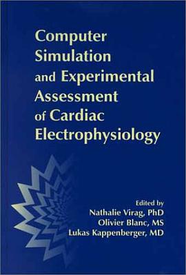 Computer Simulation and Experimental Assessment of Cardiac Electrophysiology pdf epub mobi 电子书 下载