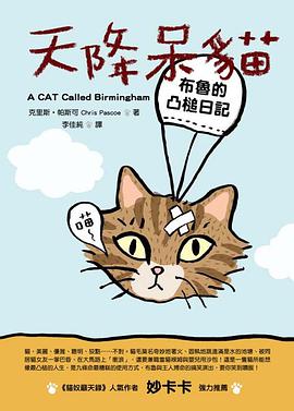 天降呆猫 pdf epub mobi 电子书 下载