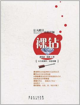 裸钻 pdf epub mobi 电子书 下载