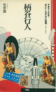 ポスト・モダニズム批判 pdf epub mobi 电子书 下载