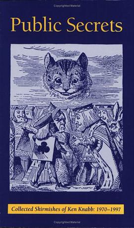 Public Secrets pdf epub mobi 电子书 下载