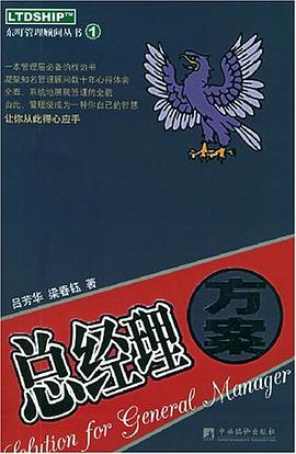 总经理方案 pdf epub mobi 下载