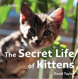 The Secret Life of Kittens pdf epub mobi 电子书 下载