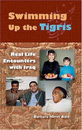 Swimming Up the Tigris pdf epub mobi 电子书 下载
