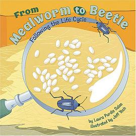 From Mealworm to Beetle pdf epub mobi 電子書 下載