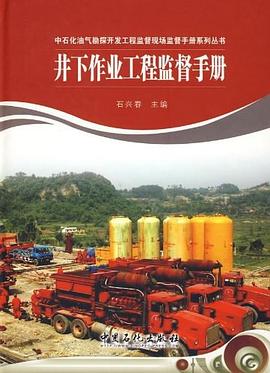 井下作业工程监督手册 pdf epub mobi 电子书 下载