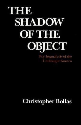 The Shadow of the Object pdf epub mobi 电子书 下载
