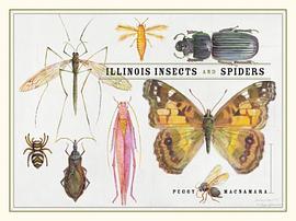 Illinois Insects and Spiders