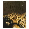 THE KINGFISHER ILLUSTRATED ANIMAL ENCYCLOPEDIA pdf epub mobi 电子书 下载